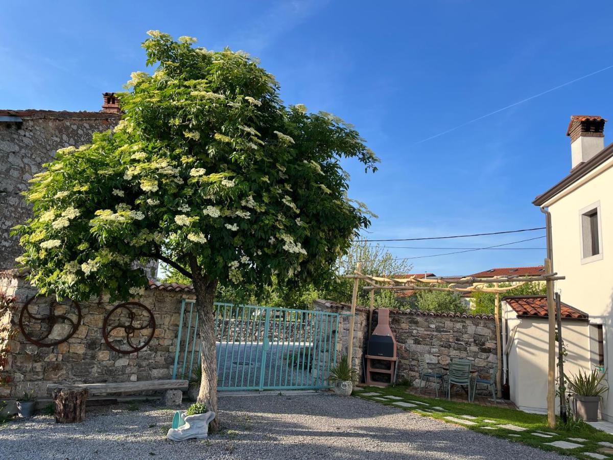 Apartma Ob Stari Murvi, Sežana Kültér fotó